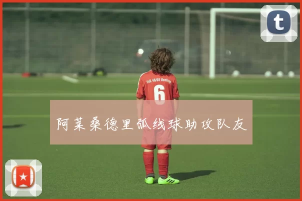 阿莱桑德里弧线球助攻队友