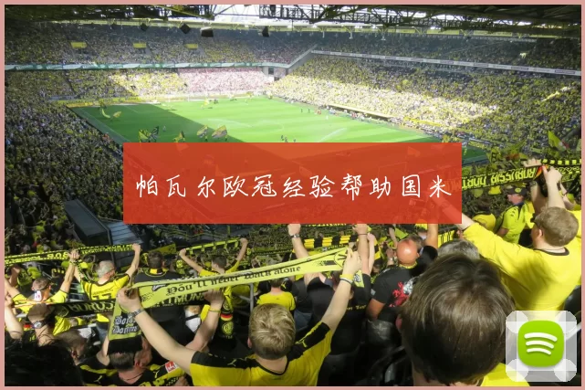 帕瓦尔欧冠经验帮助国米