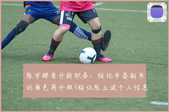 陈宇辉晋升新职务，绥化市委副书记角色再升级(绥化陈玉波个人信息)