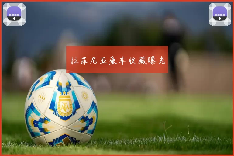 拉菲尼亚豪车收藏曝光