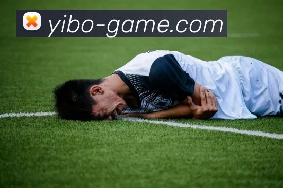 亿博电竞官网平台生态图